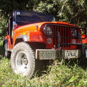 jeep_in_jungle1