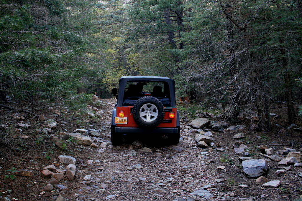 New Mexico Trails