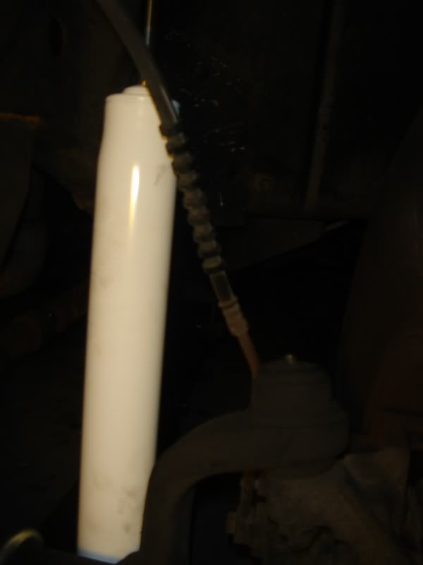 DSC09875-1.jpg