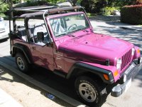 bright_purple_jeep.jpg