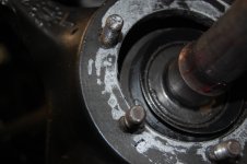 DSC_0131.JPG DSC_0131.JPG