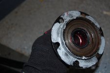 DSC_0128.JPG DSC_0128.JPG