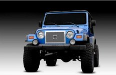jeeptjuglyassgrille3.JPG