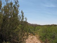 IMG_8507.JPG
