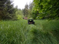 jeep in the grass - big.JPG