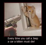 catgun10.jpg