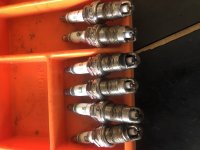 IMG_1552.jpeg