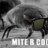 Mite-b-cool