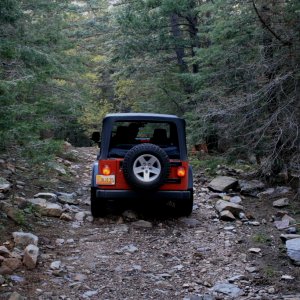 New Mexico Trails