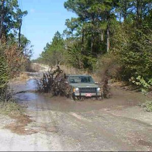 Just a little bit of early muddin in my 88' Cherokee here in my town of Sebring, Florida.