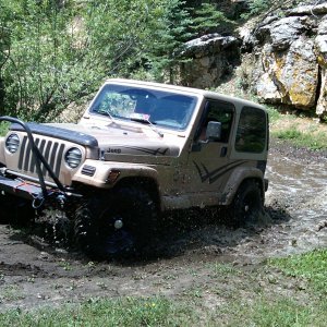 Jeep Fun
