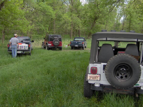 Treeplanting-2.jpg