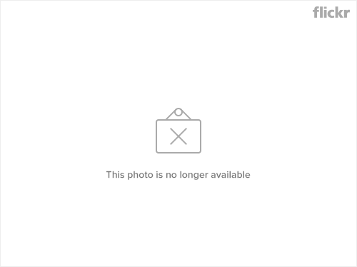 3527933931_fe4154d797-3.jpg