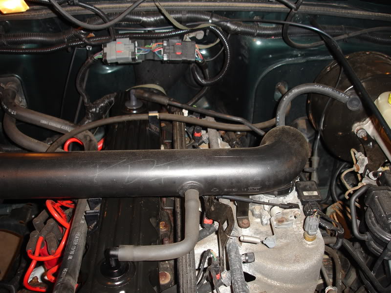 DSC09211-1.jpg