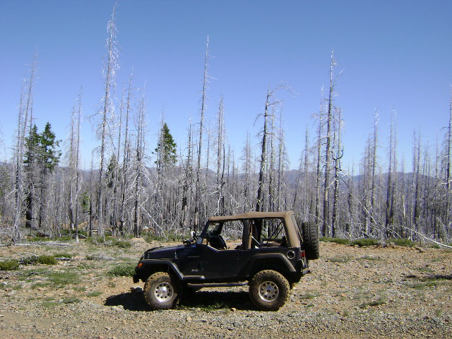 97 TJ Sport Wrangler