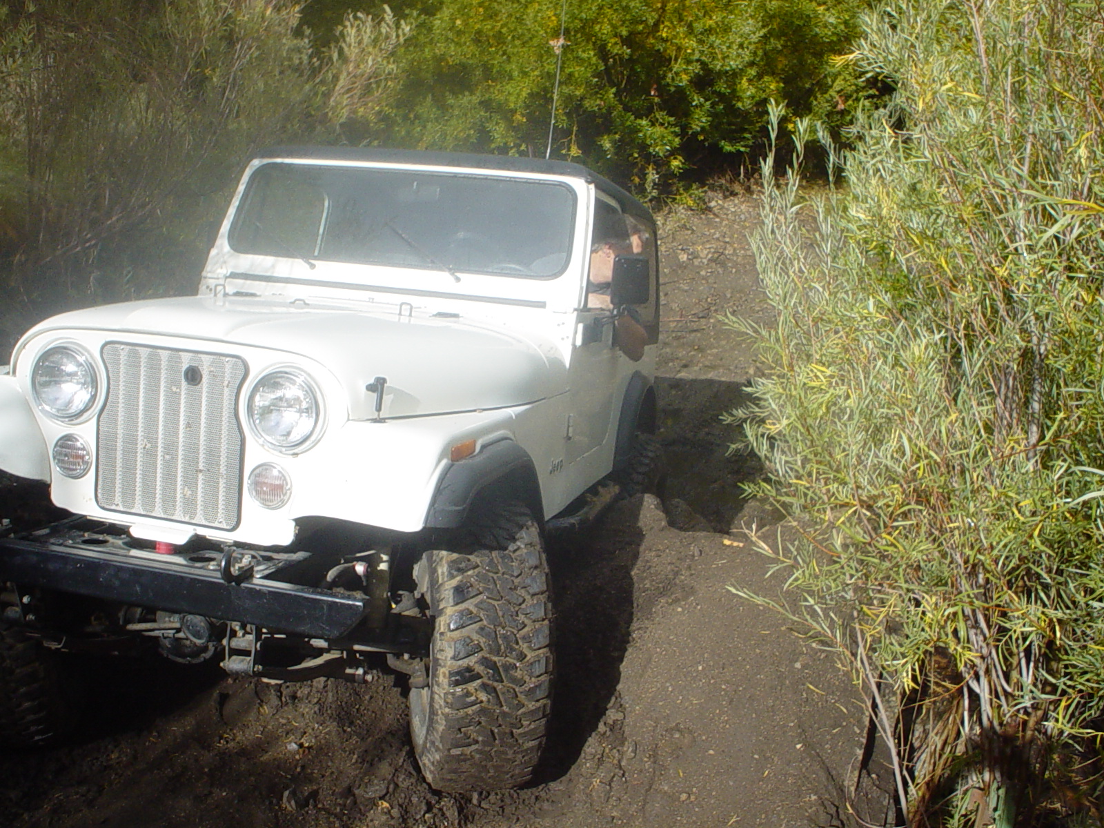 Miller jeep trail