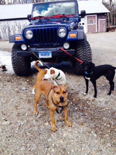 My monsters and my jeep