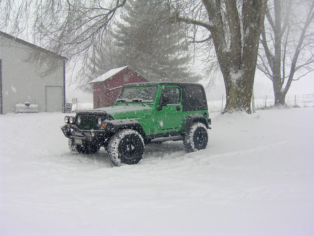 My Rubi in snowy Wisconsin