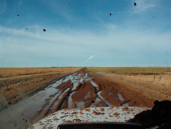 Oh, Boy!  Mud!!!!