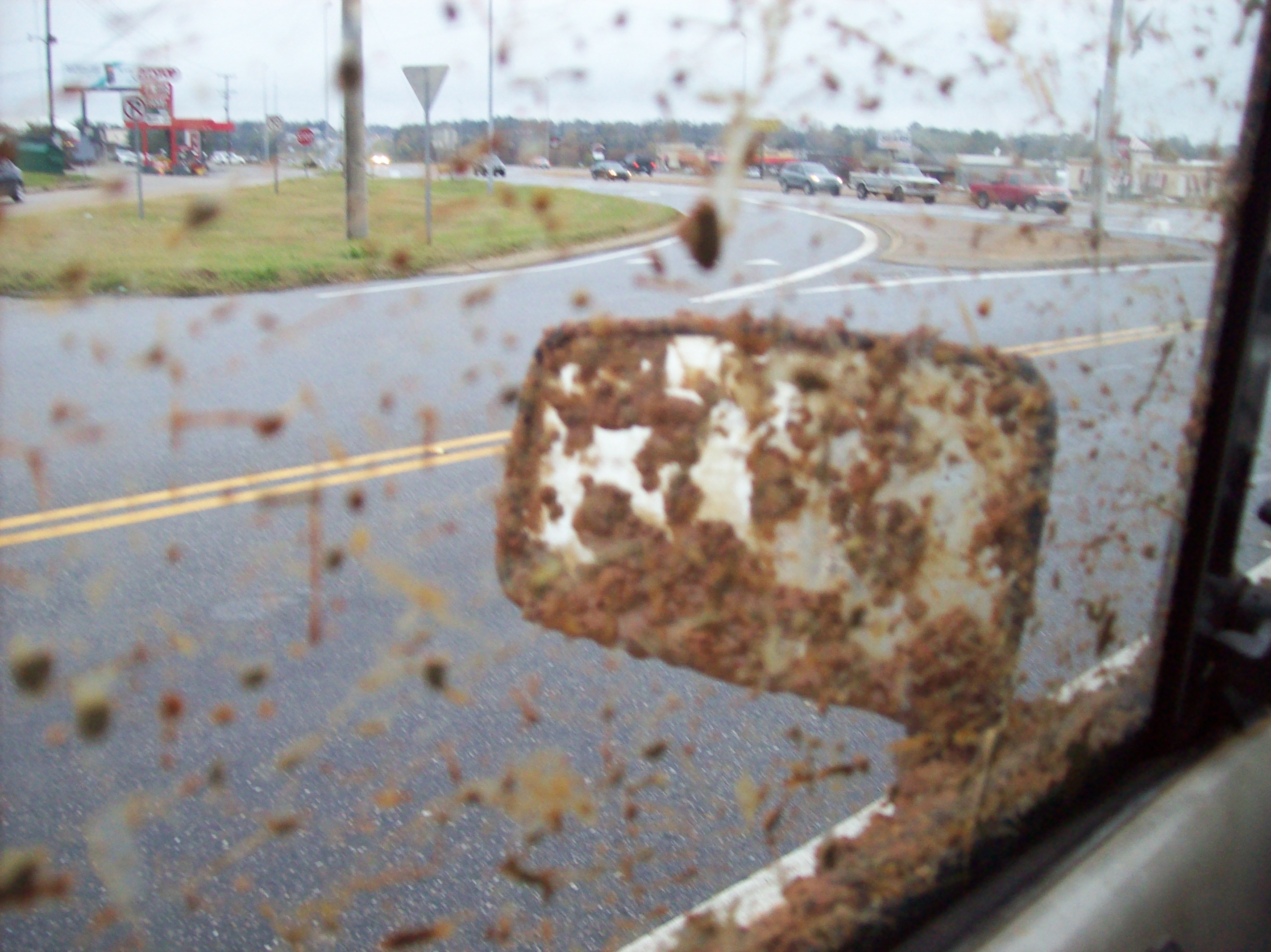 WARNING! OBJECTS IN MIRROR MAY BE MUDDIER THAN THEY APPEAR!